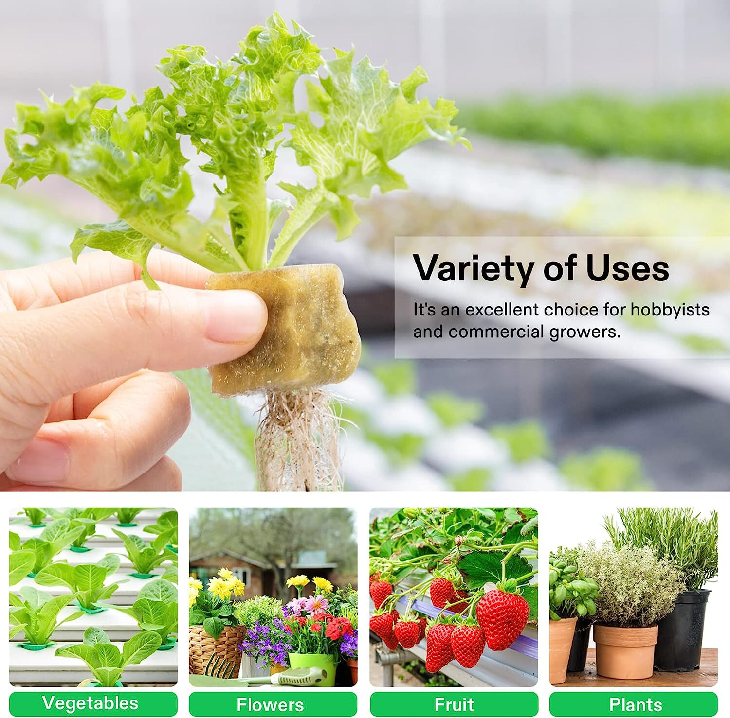 VIVOSUN 1" Rockwool Cubes,4 Sheets of 200 Plugs,for Rooting, Cuttings, Plants