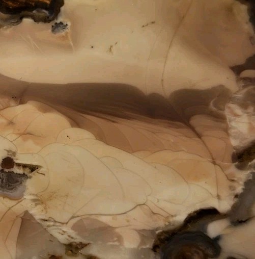 Buchanan Thunderegg - Porcelain Jasper With Orbs High Quality Lapidary, OR. 52g