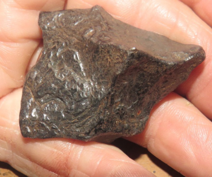 75 gm . CANYON DIABLO IRON METEORITE TOP GRADE ARIZONA STAND USA