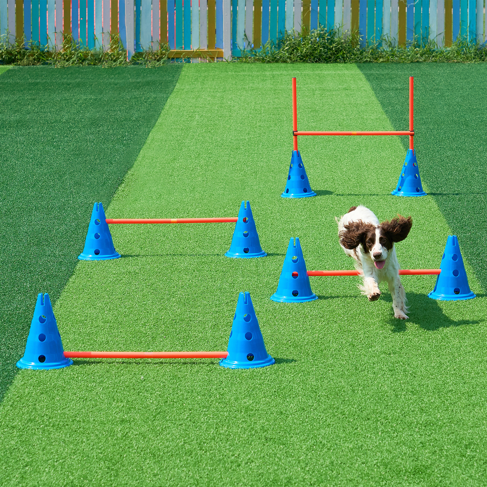 Dog Agility Training Hurdle Cone Set 6 PCS Kit-12 xCones 6 xAgility Rods w/ Bag