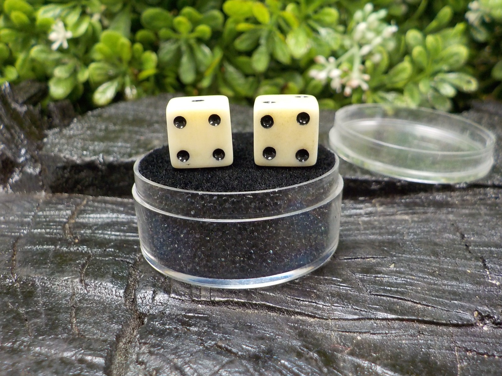 Old Rare Vintage Antique Civil War Relic Bone Dice Extremely Rare with Free Case