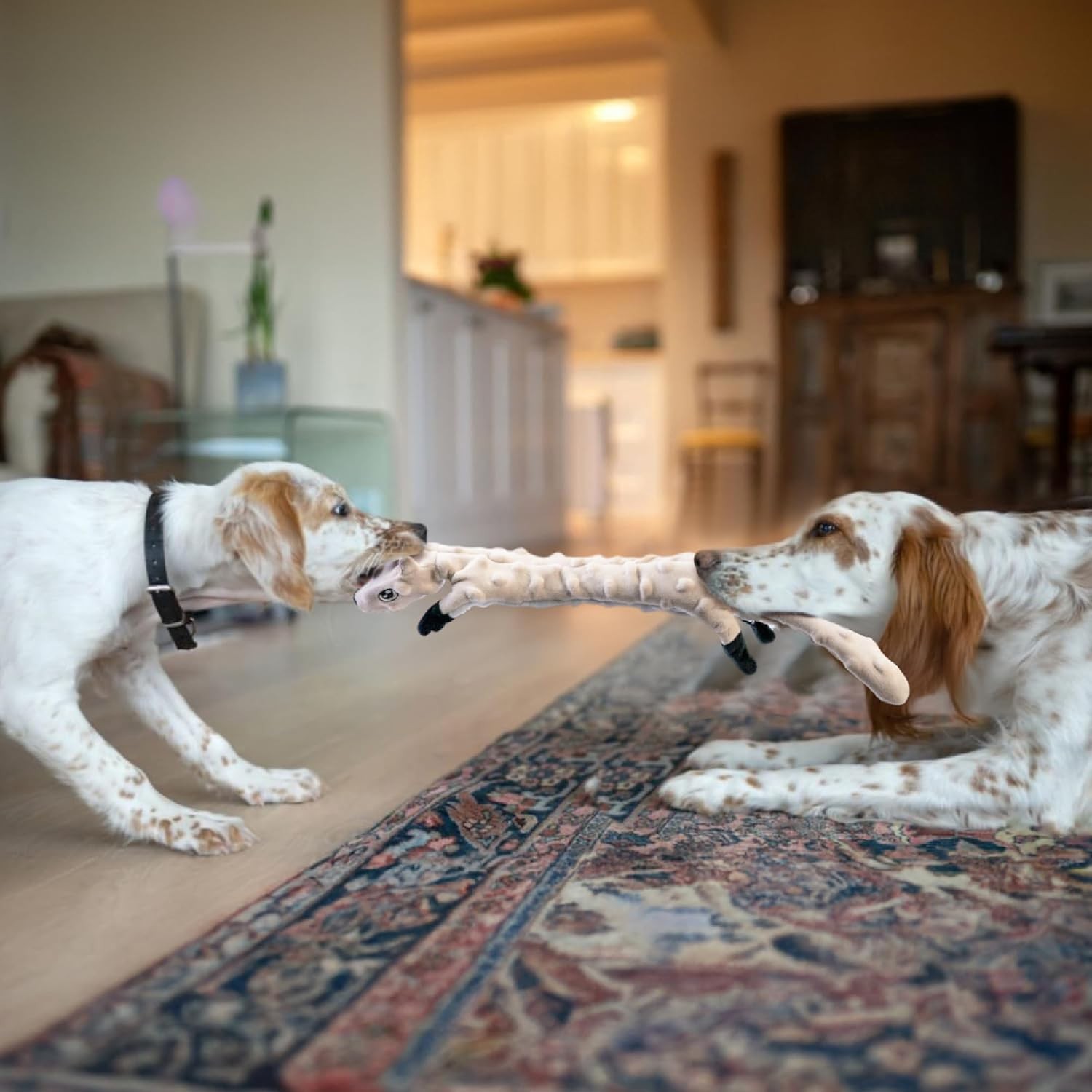 Dog Squeaky Toys 5-Pack, Teething Plush, No Stuff Crinkle, All