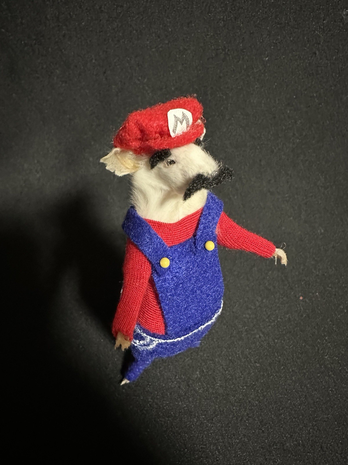 Taxidermy Mouse Super Mario Mouse Oddities Curiosities Taxidermy Art