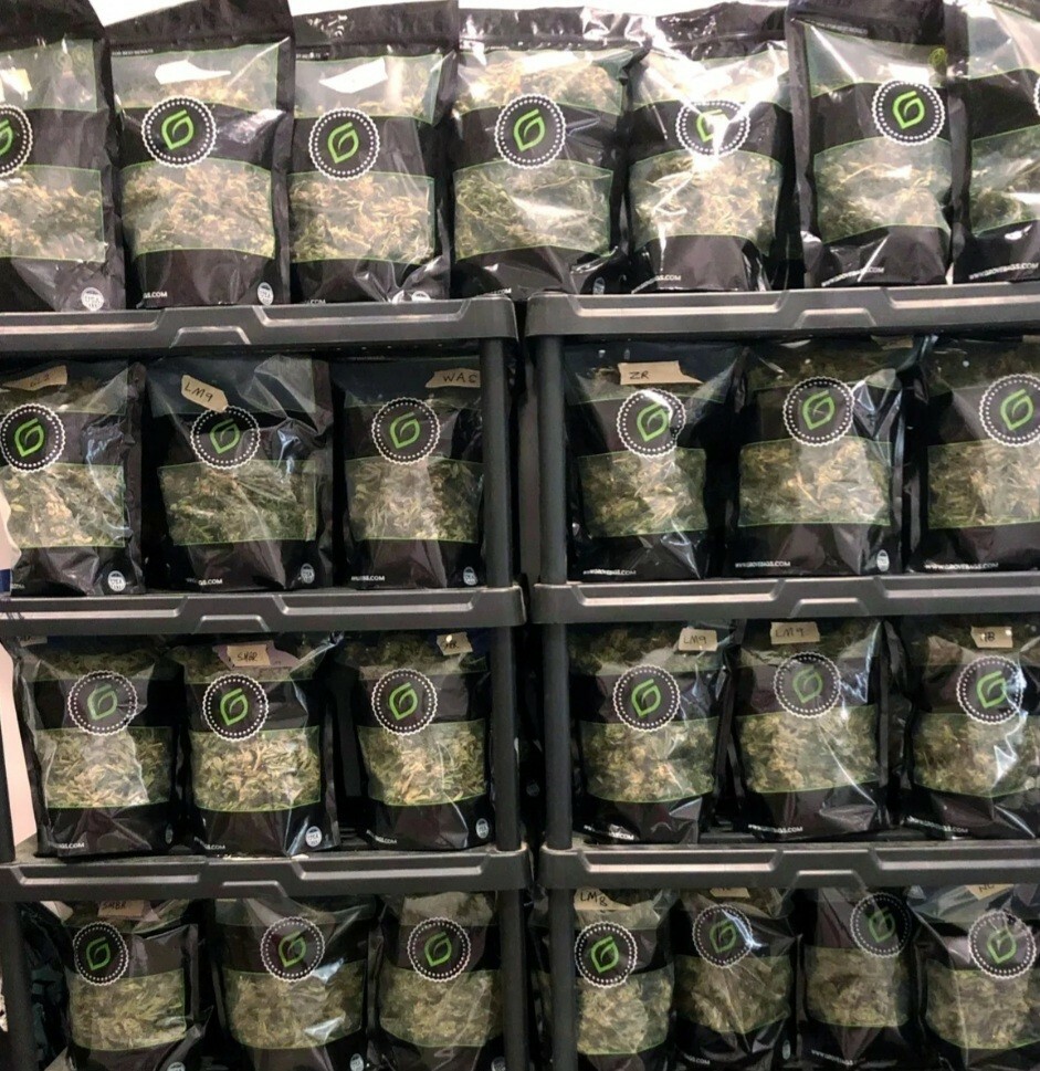 Grove Bags - TerpLoc Technology ~ Half Pound 1/2 Lb Bag - 8 Oz. ( pack of 5 )