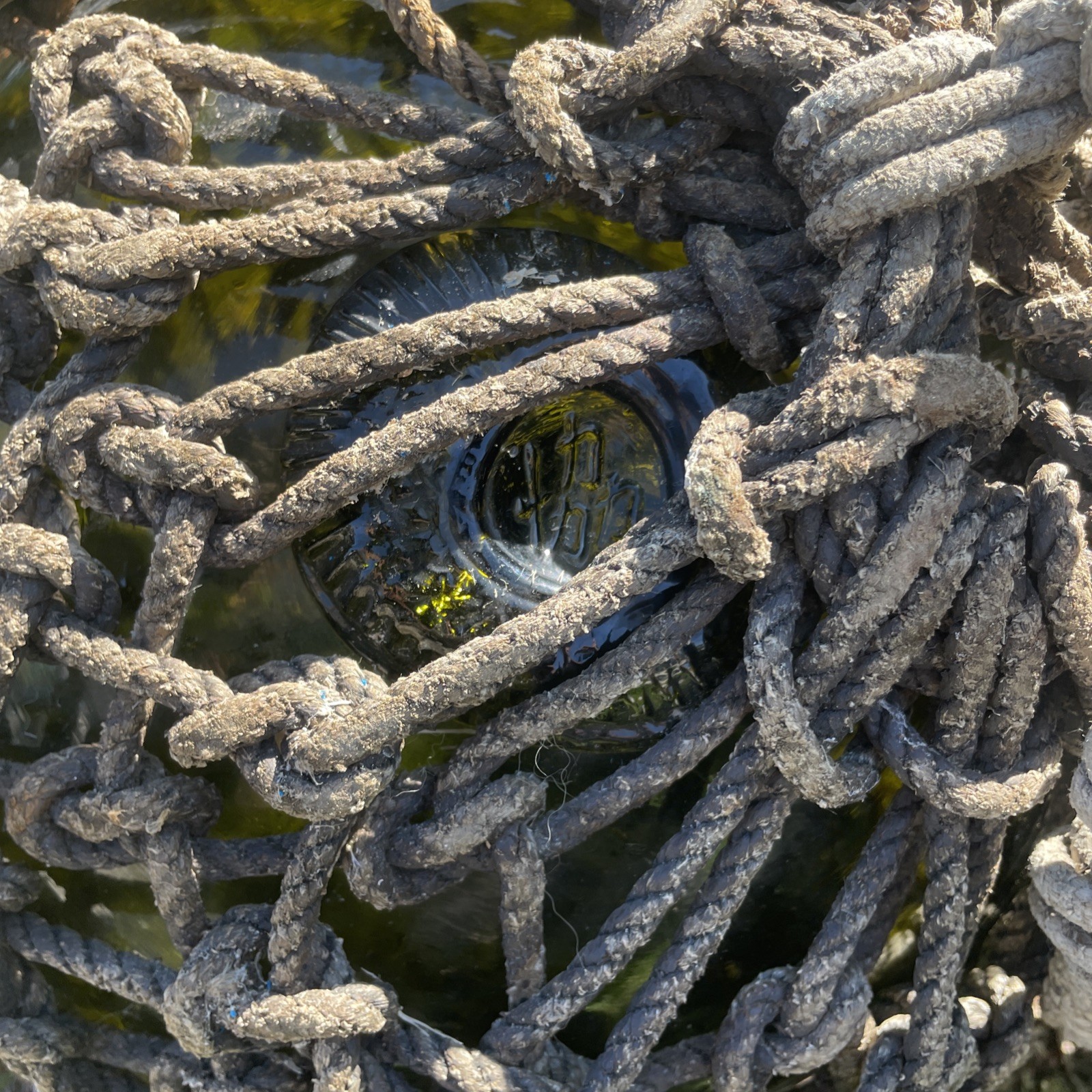 Japanese Large Glass Fishing Float Buoy Ball Net Vintage, Green