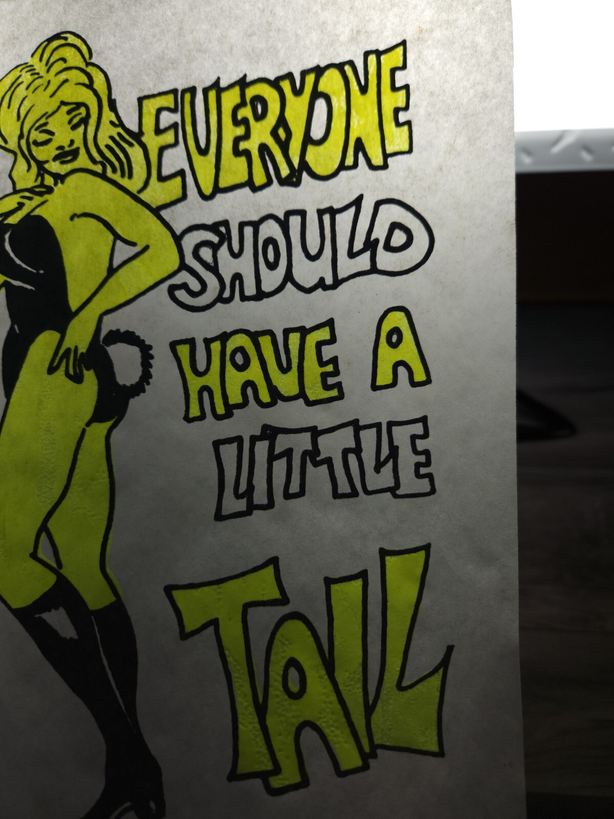 VINTAGE Sexy Girl Fun Heat Transfer Iron On Everyone Should Have A Little Tail