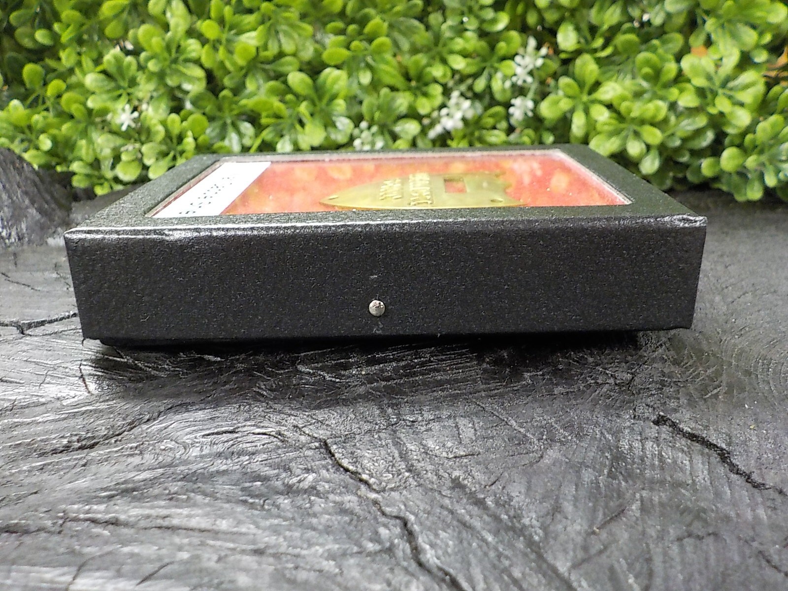 11 1/2 Inch Calvary Saddle Shield with Free Display Case for Display and Protect