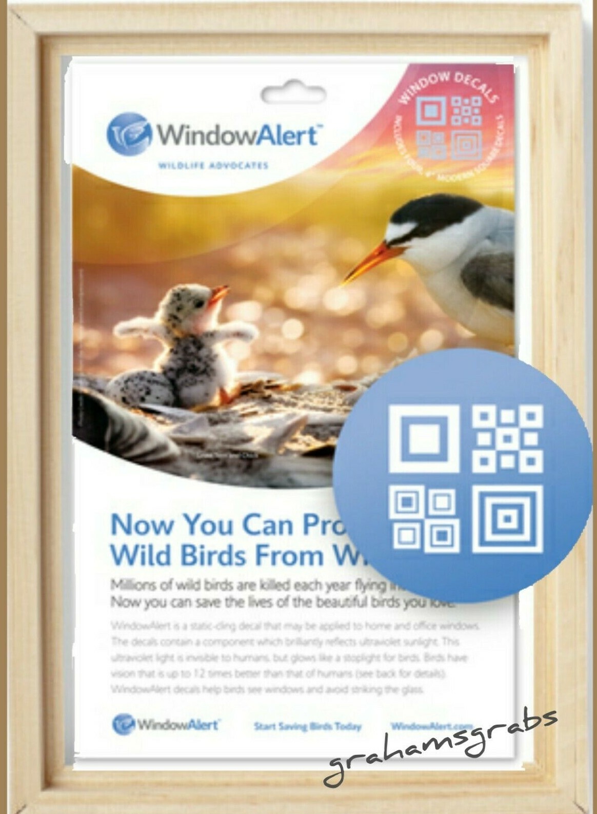 WINDOW ALERT ANTI-COLLISION MODERN SQUARE CLINGS  SAVE BIRDS PREVENT STRIKES