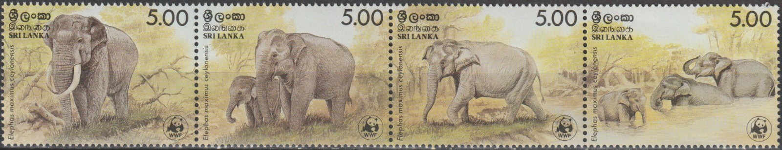 Sri Lanka WWF Ceylon Elephant 1986 MNH-70 Euro
