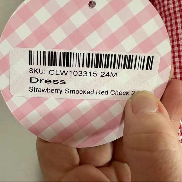 Classic Whimsy Girls Strawberry & Vine Smocked Gingham Red Checked Dress