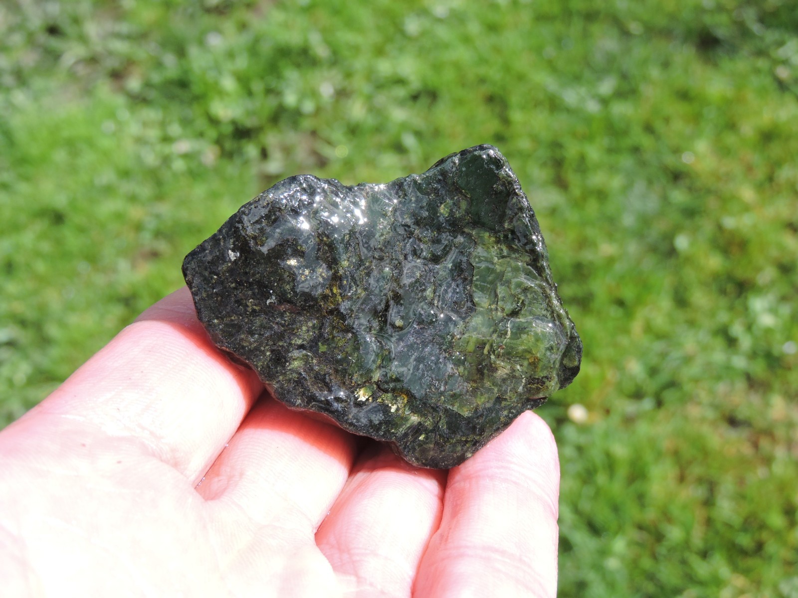 OREGON DARK GREEN SERPENTINE Rough Stones. *MAGNETIC* 100% Natural (8 lb)
