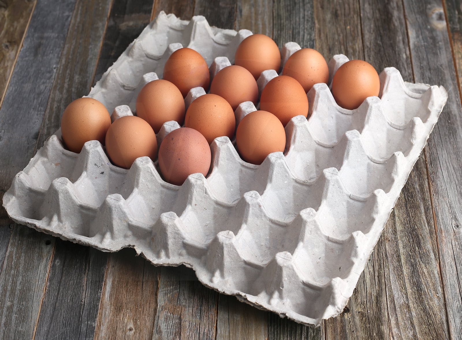 MT Products Pulp Flat Egg Cartons | Stores 30 Large to Small Eggs - Pack of 15