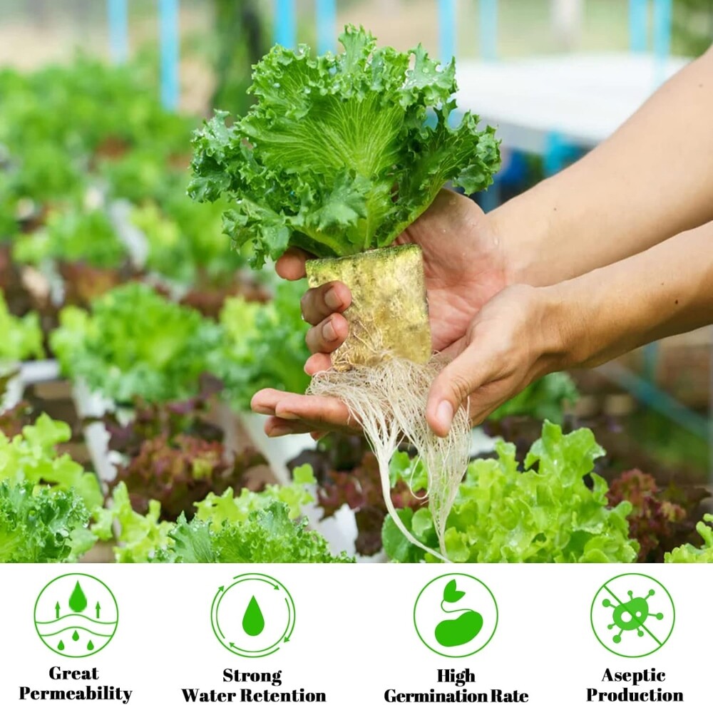 1 inch GRODAN ROCKWOOL GROW STARTER CUBES 🌱🌿