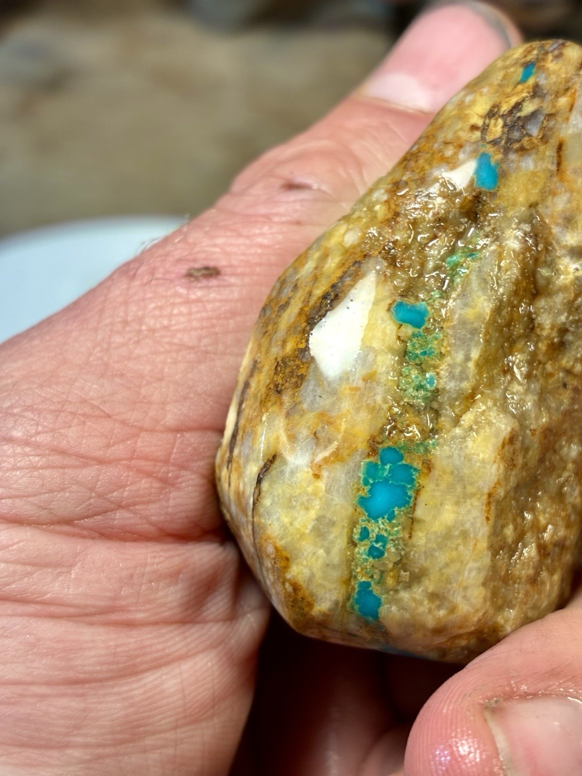 1 Lb of Skinny Turquoise Mountain Nugs! Now Available Again! ￼