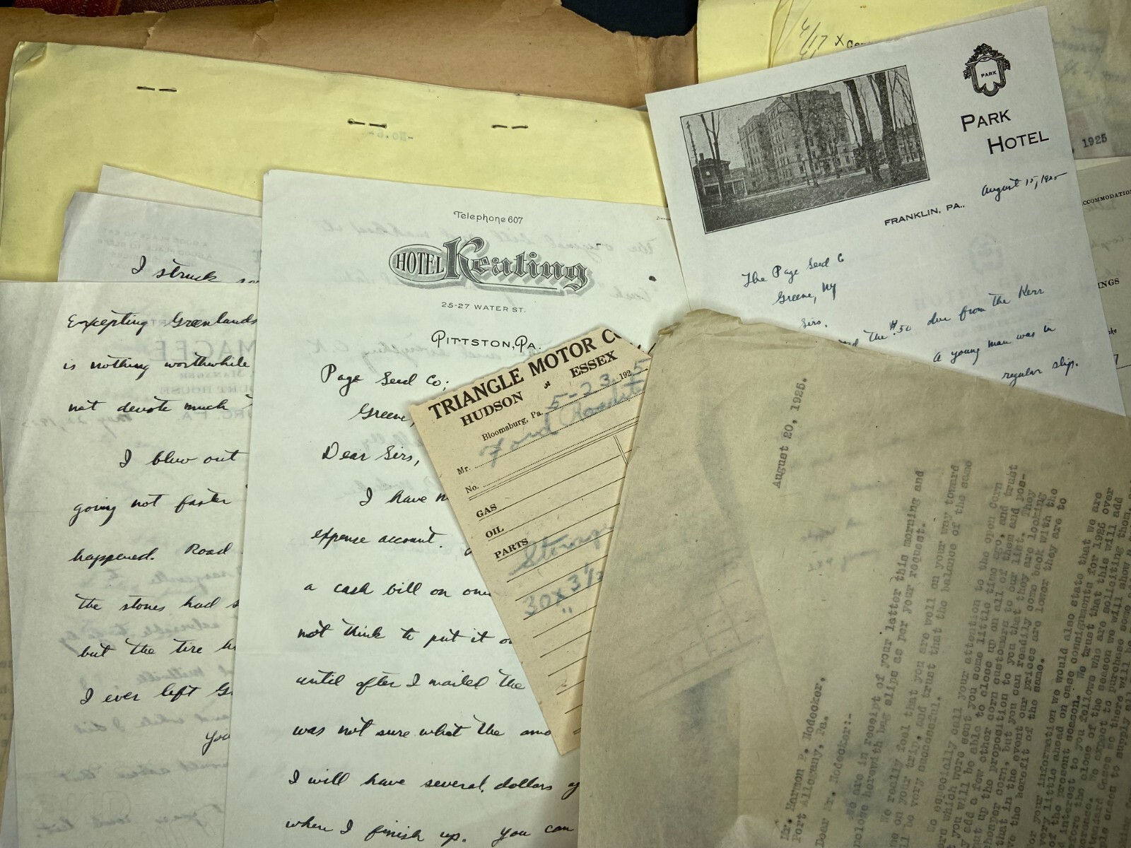 RARE Letter Archive - Traveling Salesman - Page Seed Co Greene, NY 1925 NY, PA,