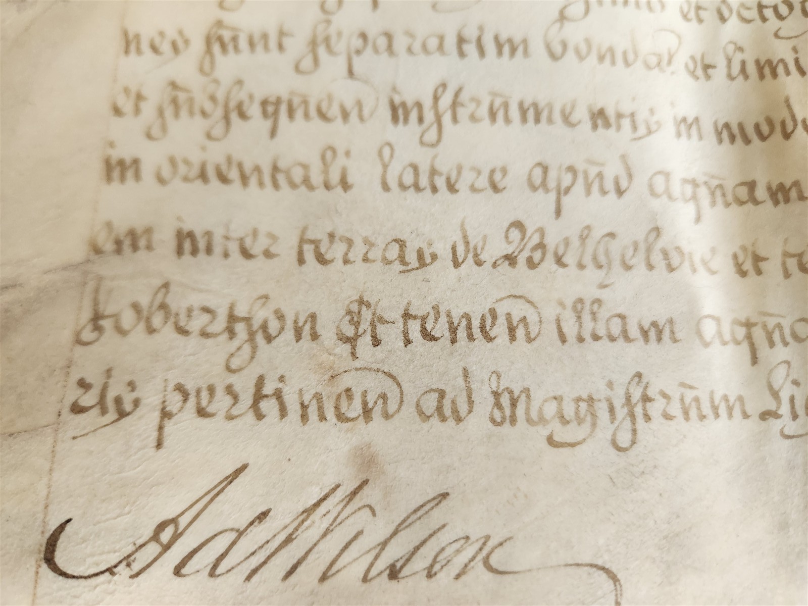 1795 MANUSCRIPT on VELLUM ANTIQUE LATIN LEGAL DOCUMENT 14 pp. EDINBURGH SCOTLAND