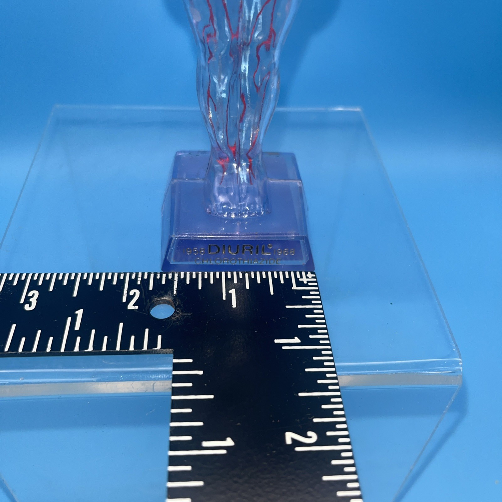 1968 Diuril Drug Rep Advertising Clear Human Body Figure Blood Pressure Medicine