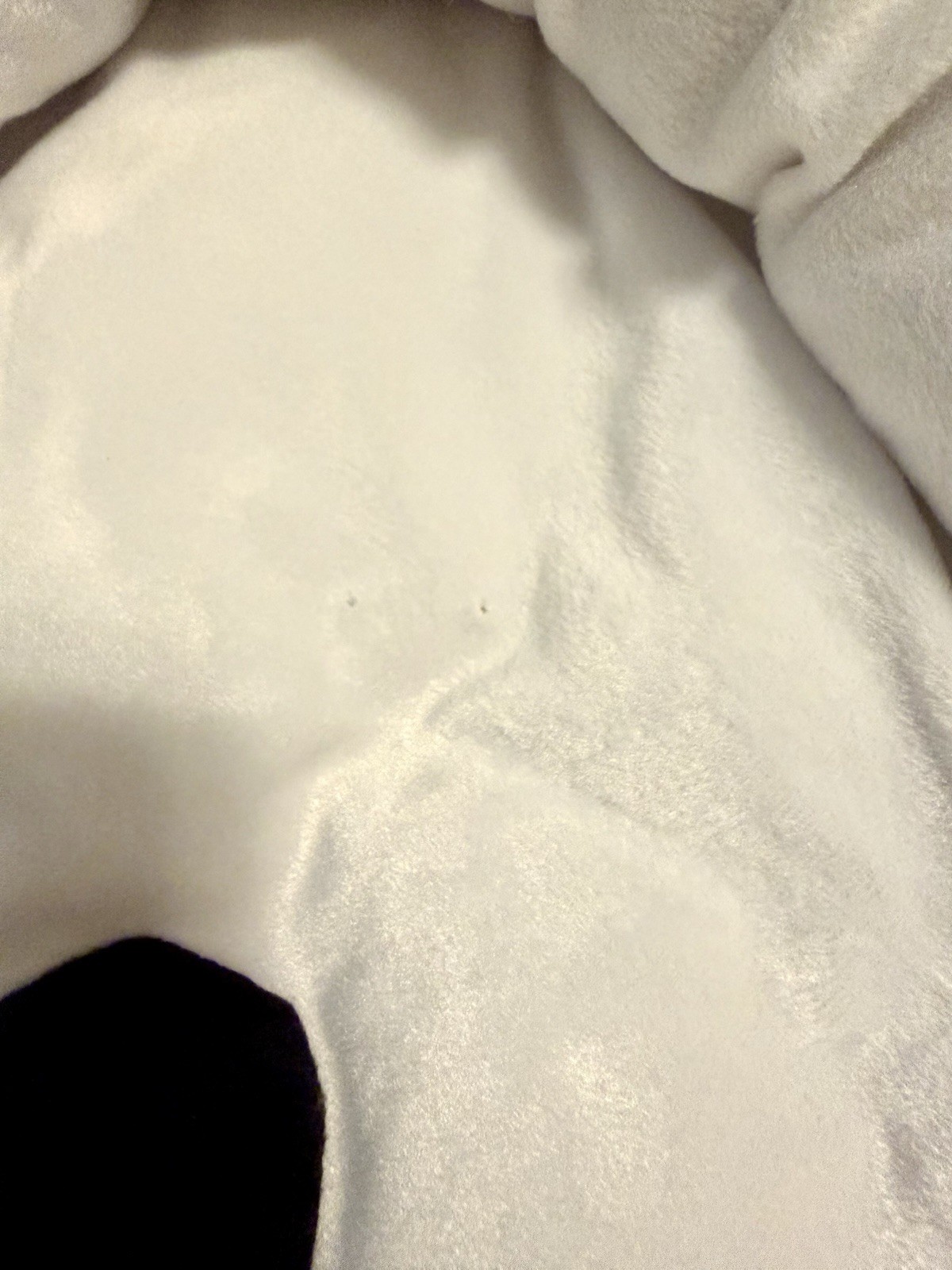 Snoopy Peanuts 30" Dog or Cat Bed Plush NWOT VERY RARE