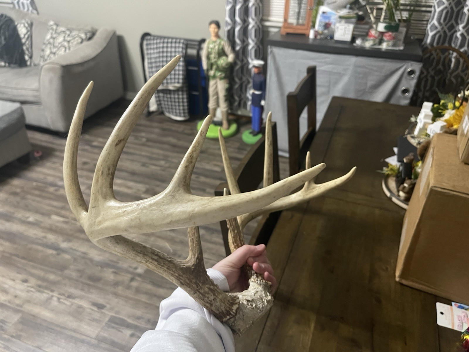 Deer Antler Skull Cap