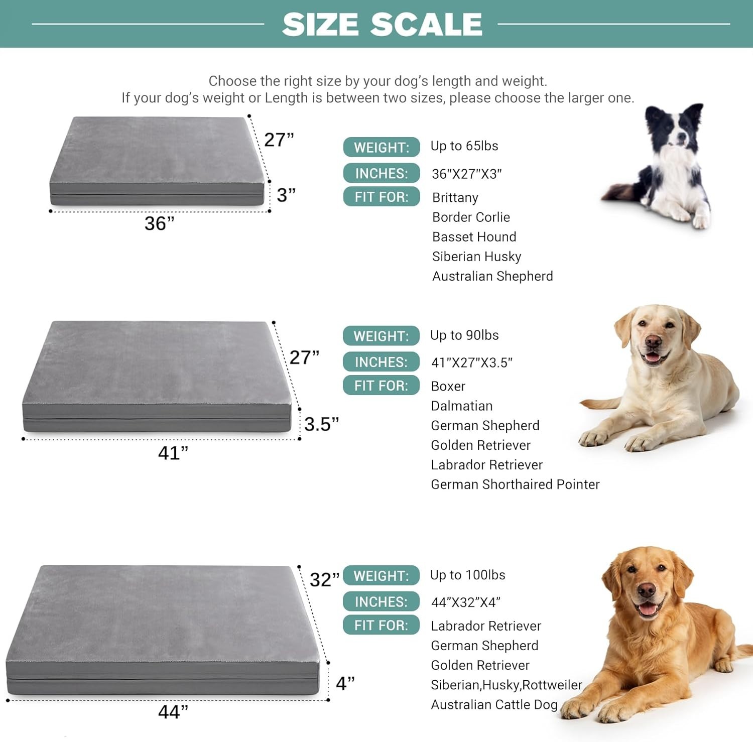 XL Waterproof Dog Bed, Orthopedic Foam, Reversible Cover
