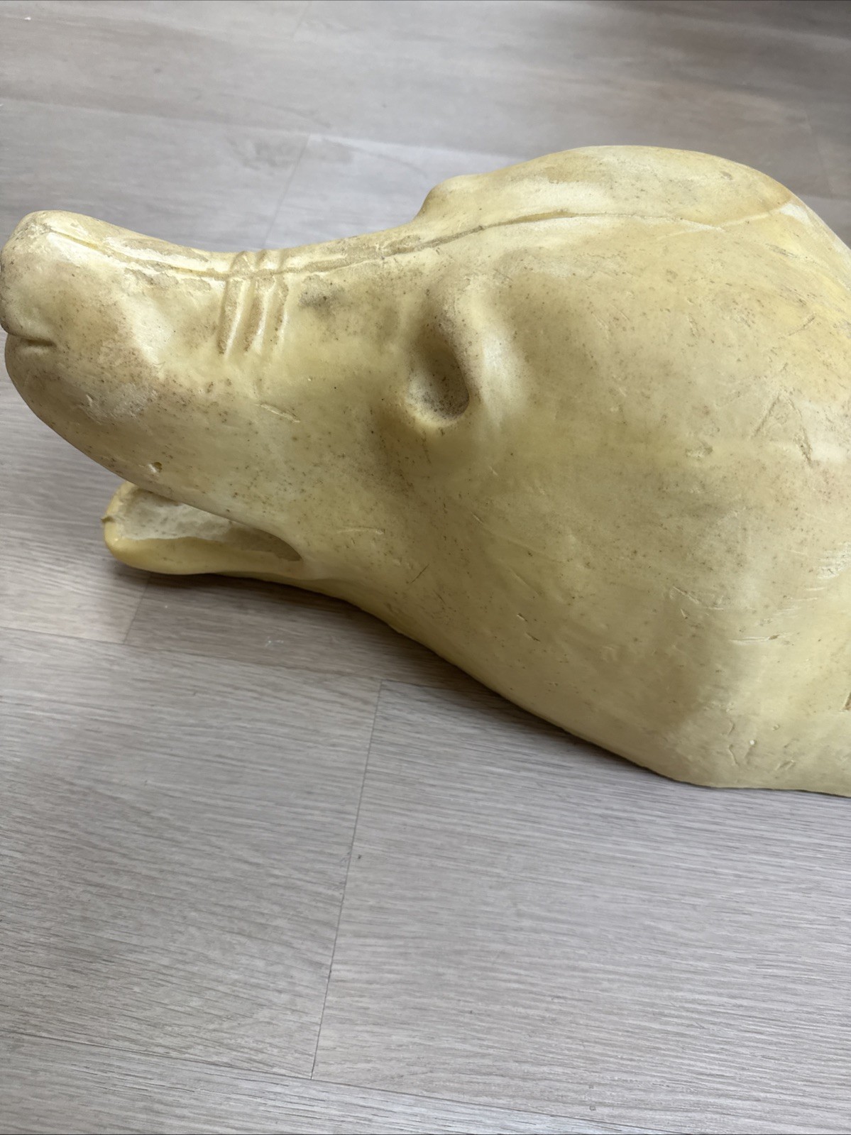 Van Dyke Large Bear Rug Shell Form Open Mouth 1992