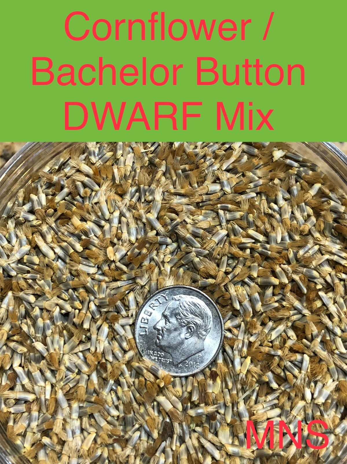 Landscaper's Pack Cornflower Bachelor Button DWARF MIX Non-GMO 1500 Seeds!