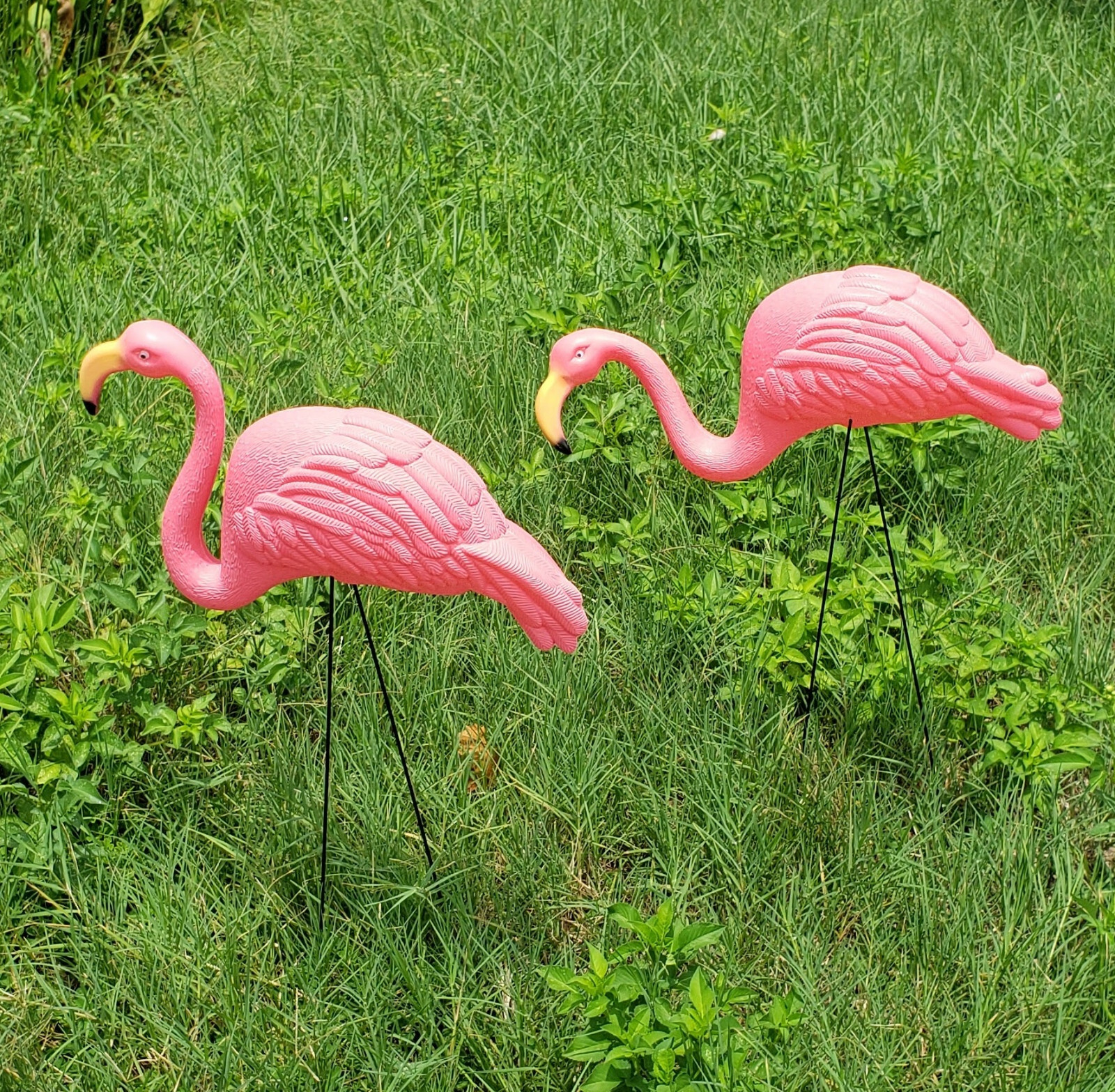 Large Pink Flamingo Yard Ornaments (Pack of 2 Different Designs) Tall. Great