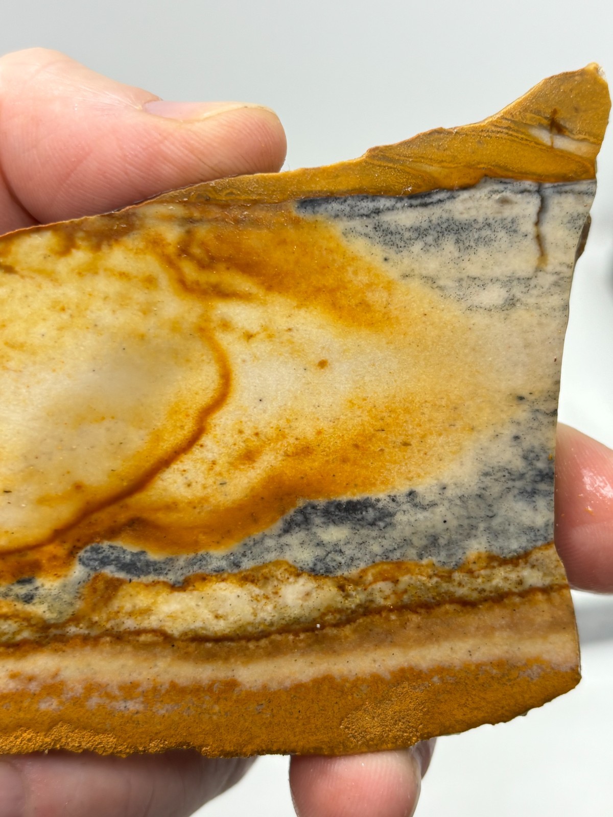 Disaster Peak Picture Jasper Slab Cabbing Lapidary Collecting Combo Ship Avail