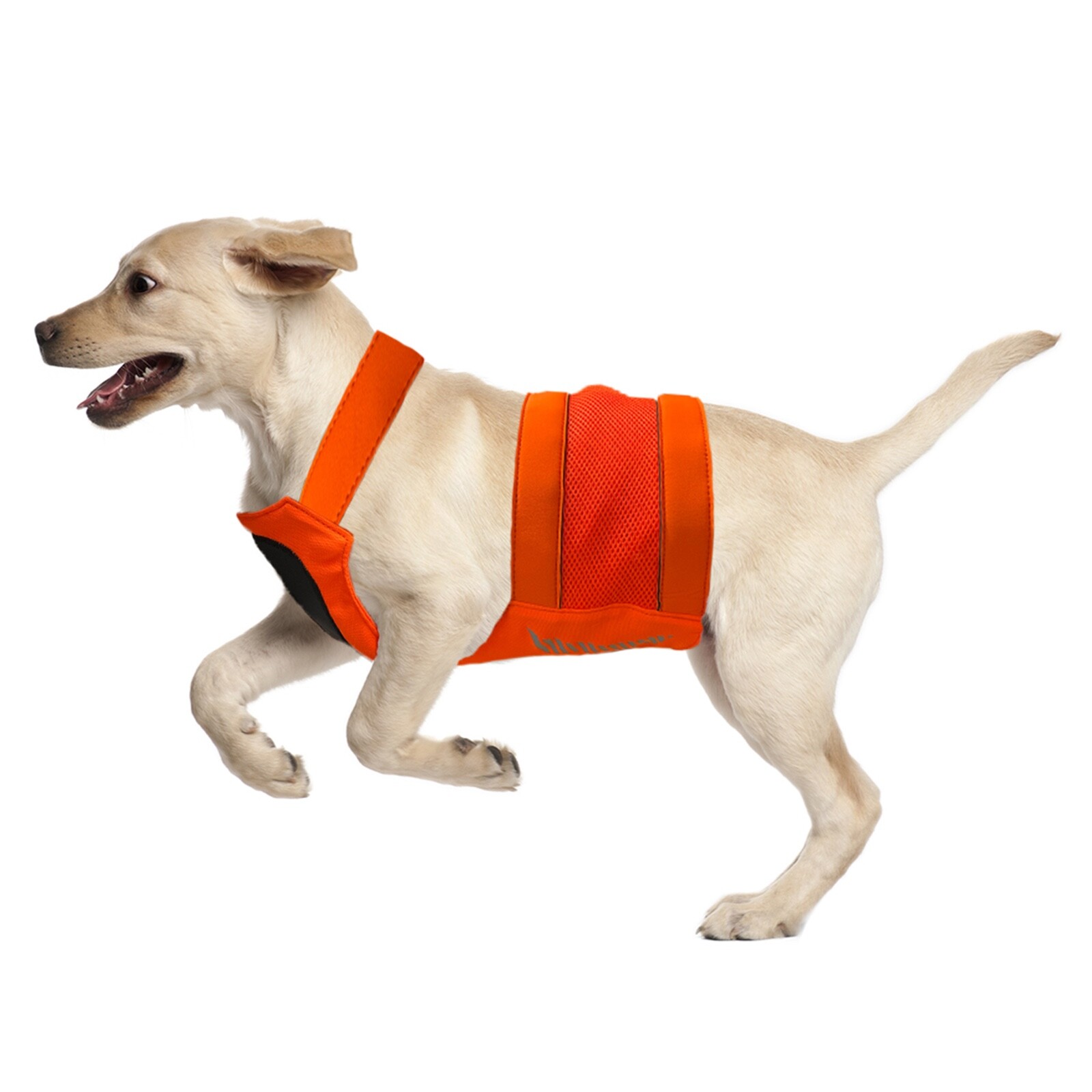 Kong Reflective Dog Hunting Safety Vest High Visibility Outdoor Walking Harness