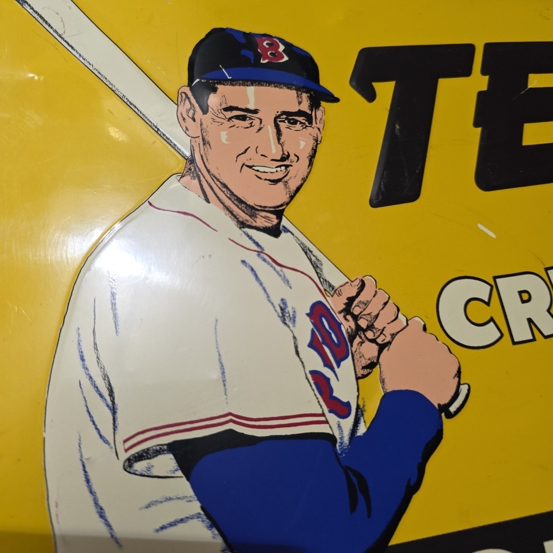 VTG TED WILLIAMS Ted's Delicious Creamy ROOT BEER SIGN 10in. x 15in. Green Back