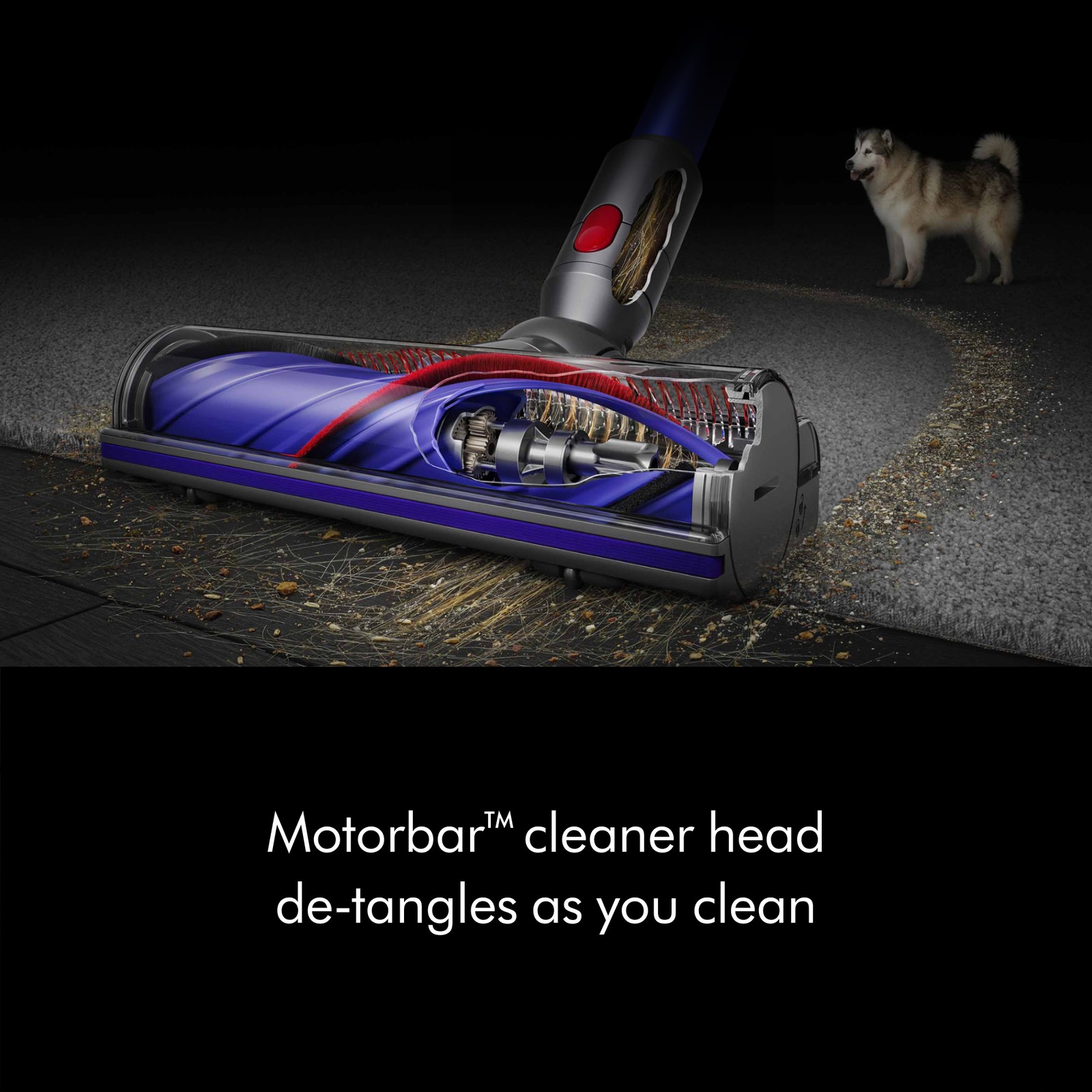 Dyson V8 Origin Extra Cordless Vacuum | Blue | Refurbished