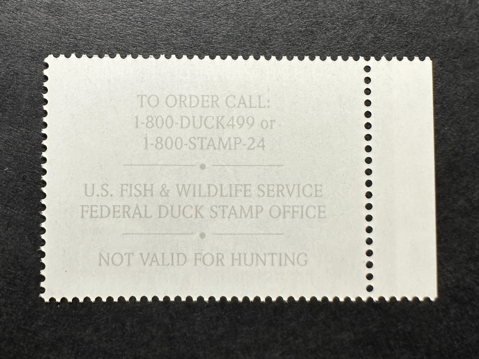 WTDstamps - #JDS27 2019 - Junior Duck Stamp **Nicole Jeon** Mint OG NH