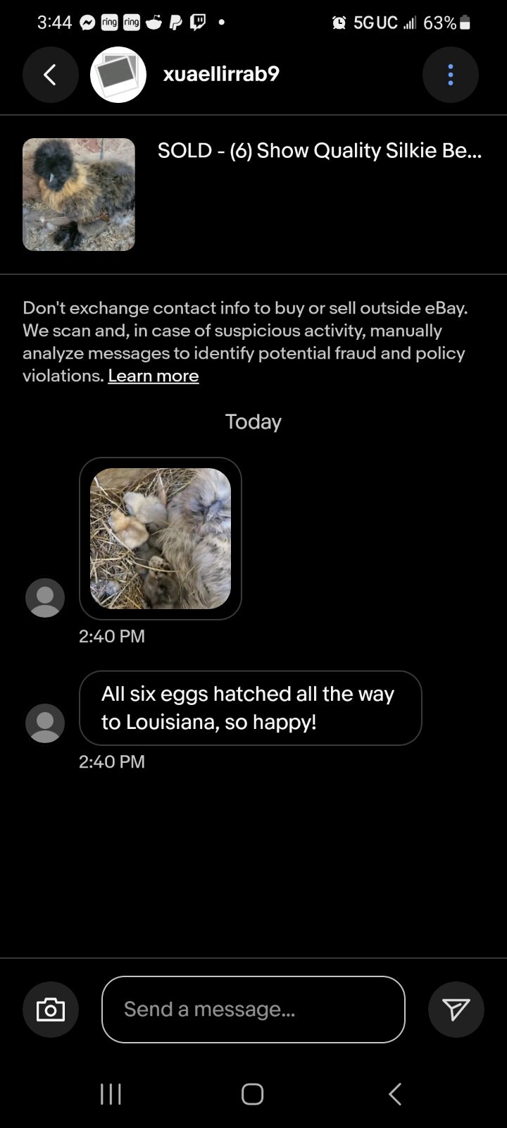 (6) Show Quality Silkie Bearded & Crested Fertile Hatching Eggs, Shipped in Foam