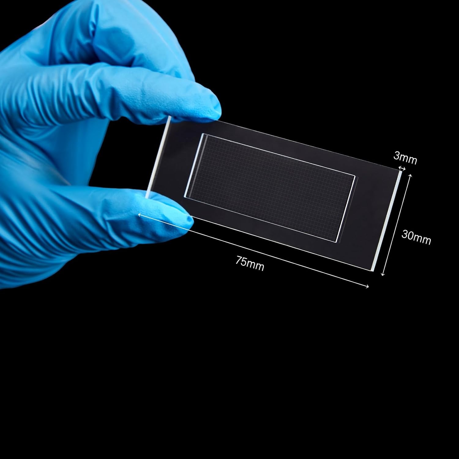 New Glass Plankton Counting Cell Case 1mm 1000 Grid Single Gridded Counting Cell