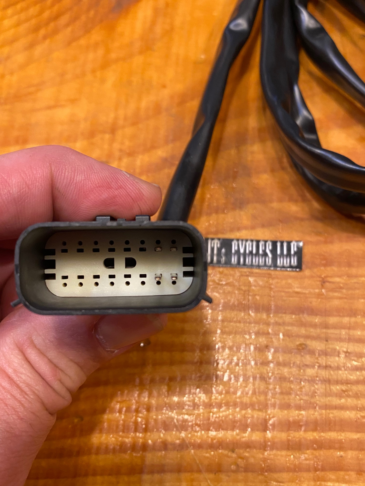 Custom Dynamics Rear King Tour Pak Speaker Harness for 2014-23 Harley Touring