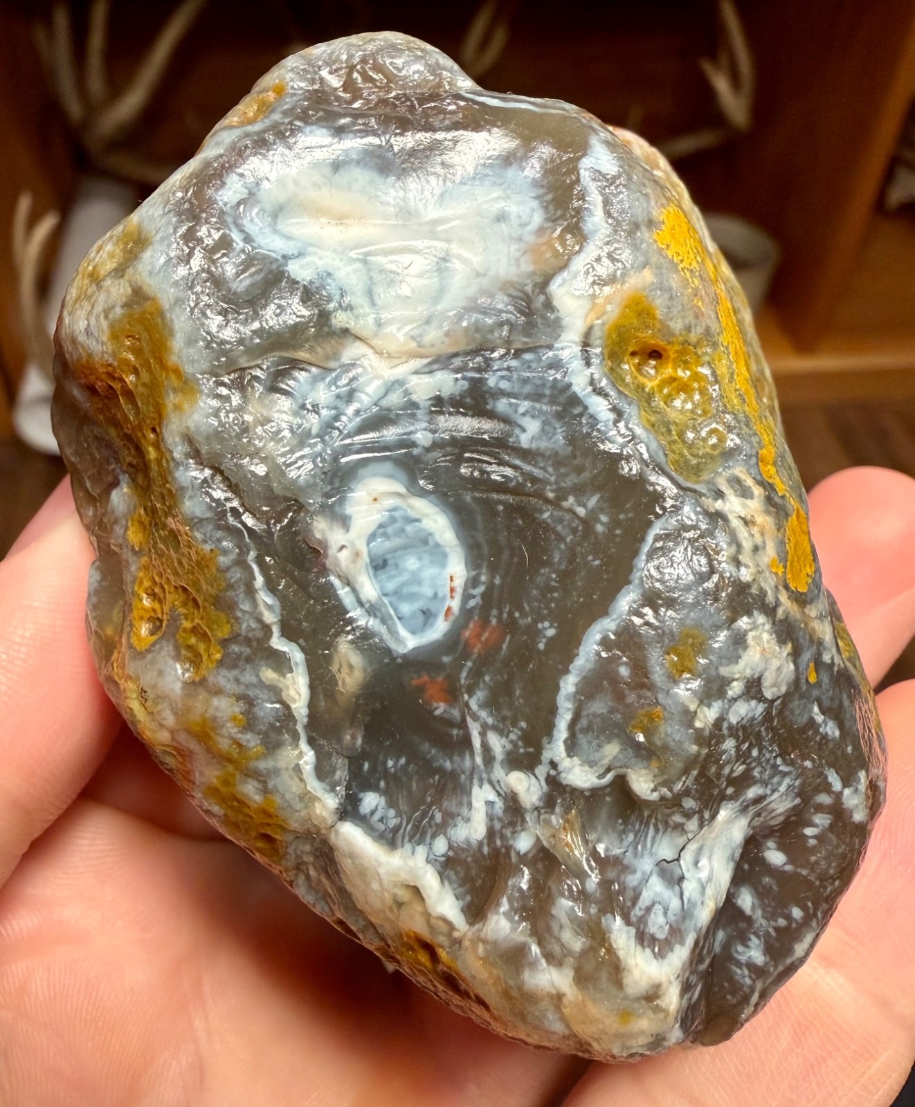 10.25oz LAKE SUPERIOR AGATE BIG BLUE JELLY SUNBLEACHED AND LIMONITE STAINING
