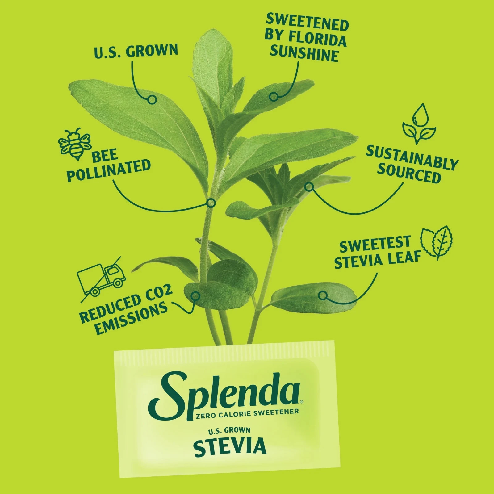 Splenda Stevia Sweetener Jar, 19oz