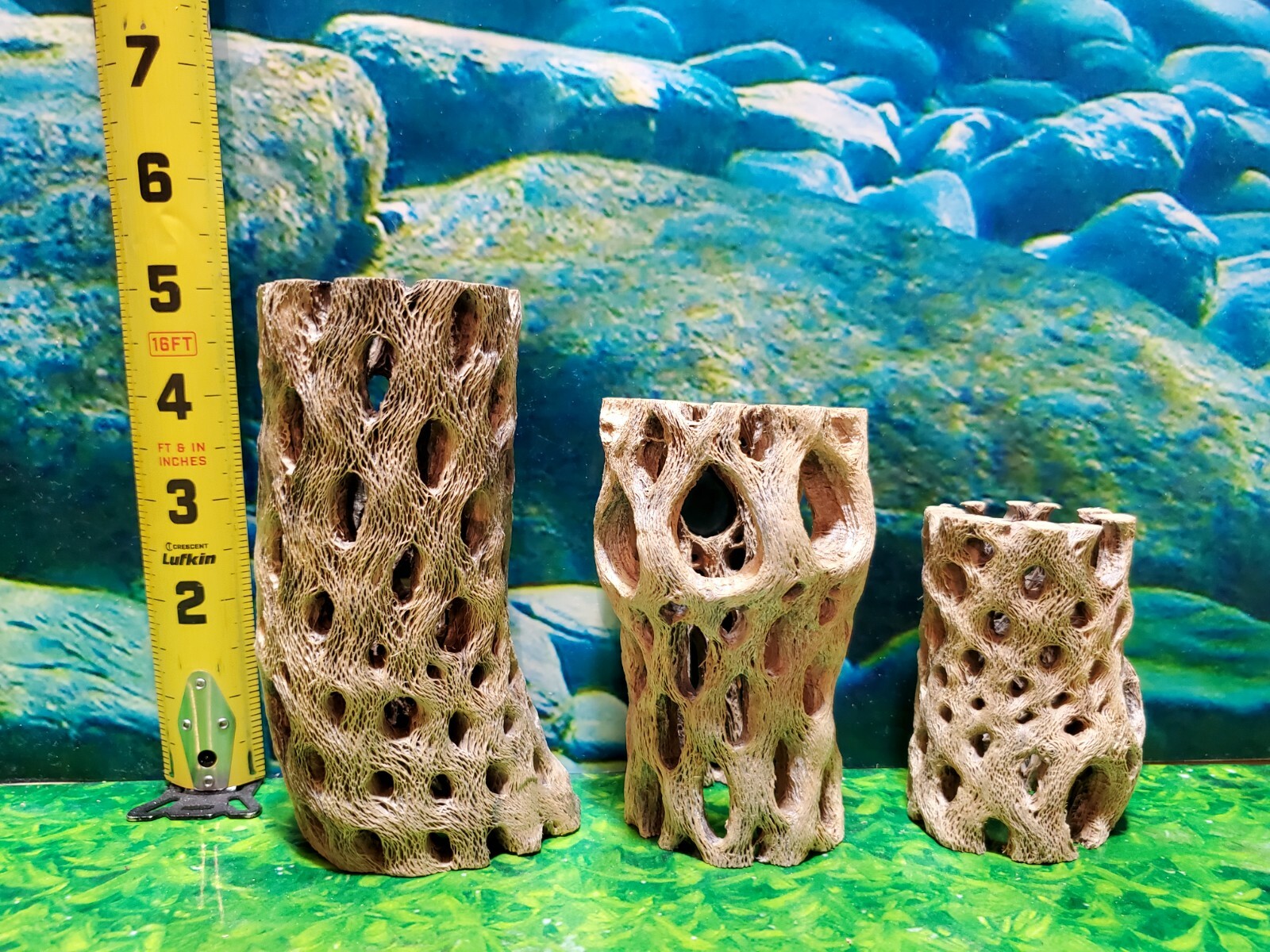 TEDDY BEAR CHOLLA Wood | 3 pcs, 3 sizes | Nice Air Plant Display Stands | Crafts