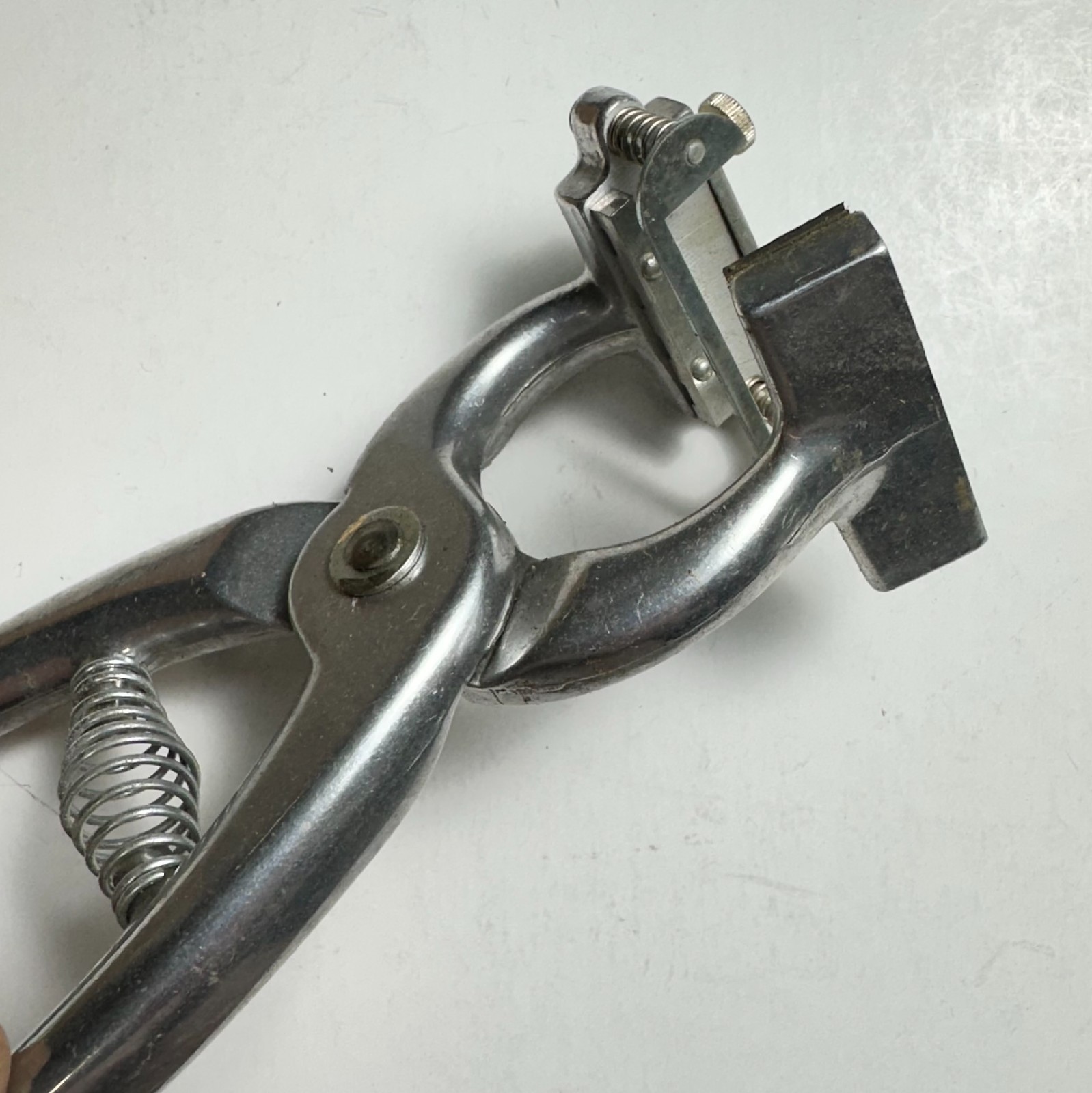 Vintage Stone Animal Tattoo Outfit Tattoo Digits