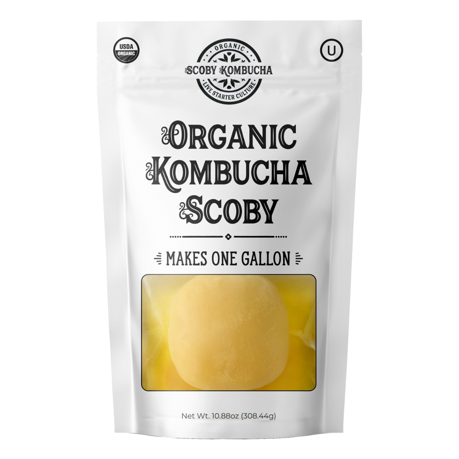 Scoby Kombucha FBA_LEPAZC5747 1 X Organic Kombucha Scoby-Live Culture