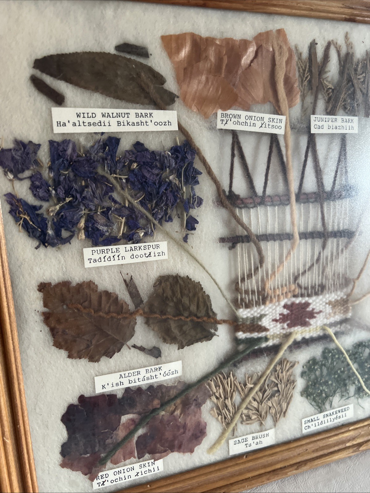 Handmade NATIVE AMERICAN PLANT DYE HERB ILLUSTRATED PICTURE SAMPLER WOVEN