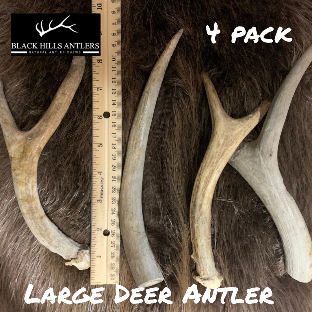 Large Mid-Grade Deer Antler Dog Chew 4 Pack