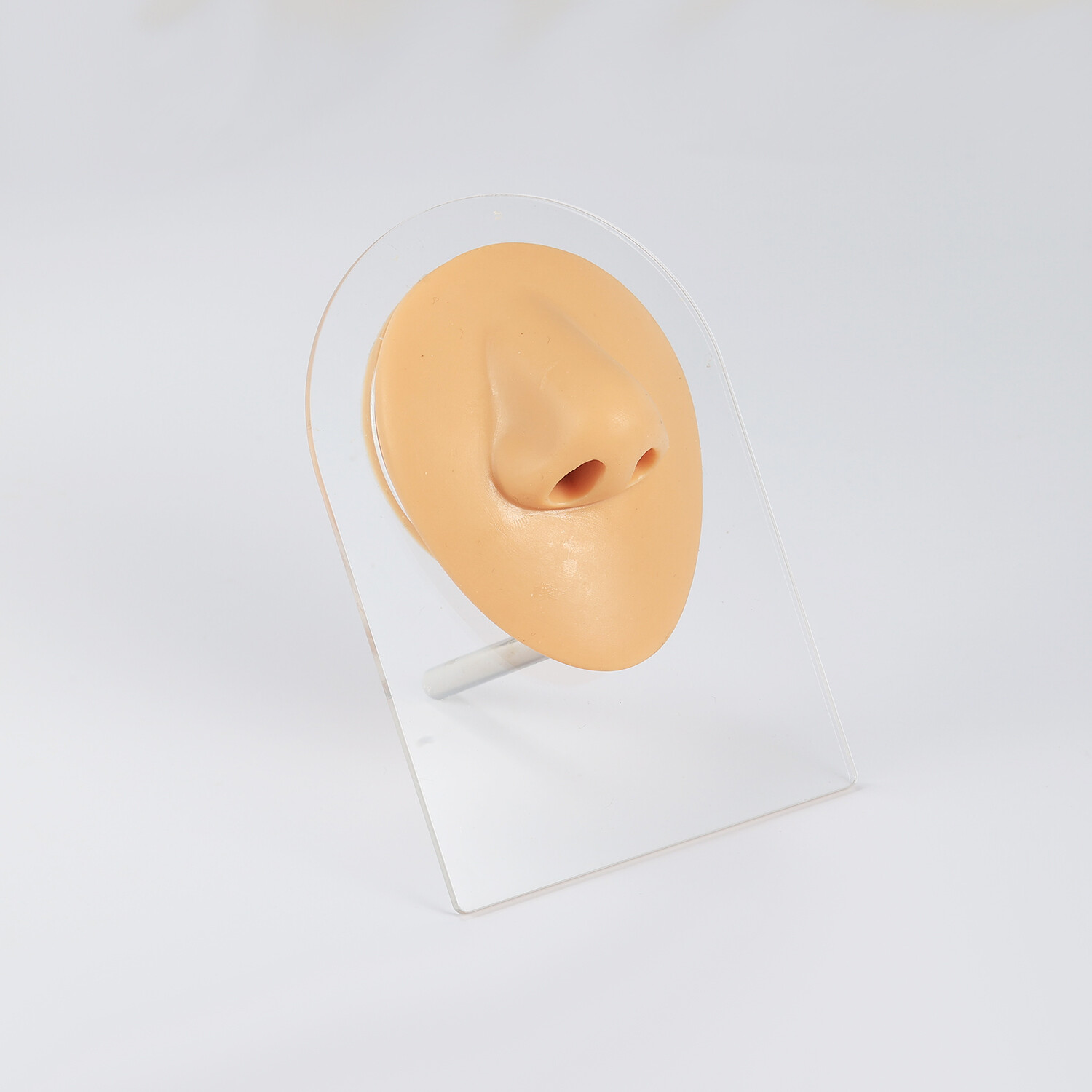 Silicone Ear Model with Acrylic Display Stand Body Parts Practice Piercing Tools
