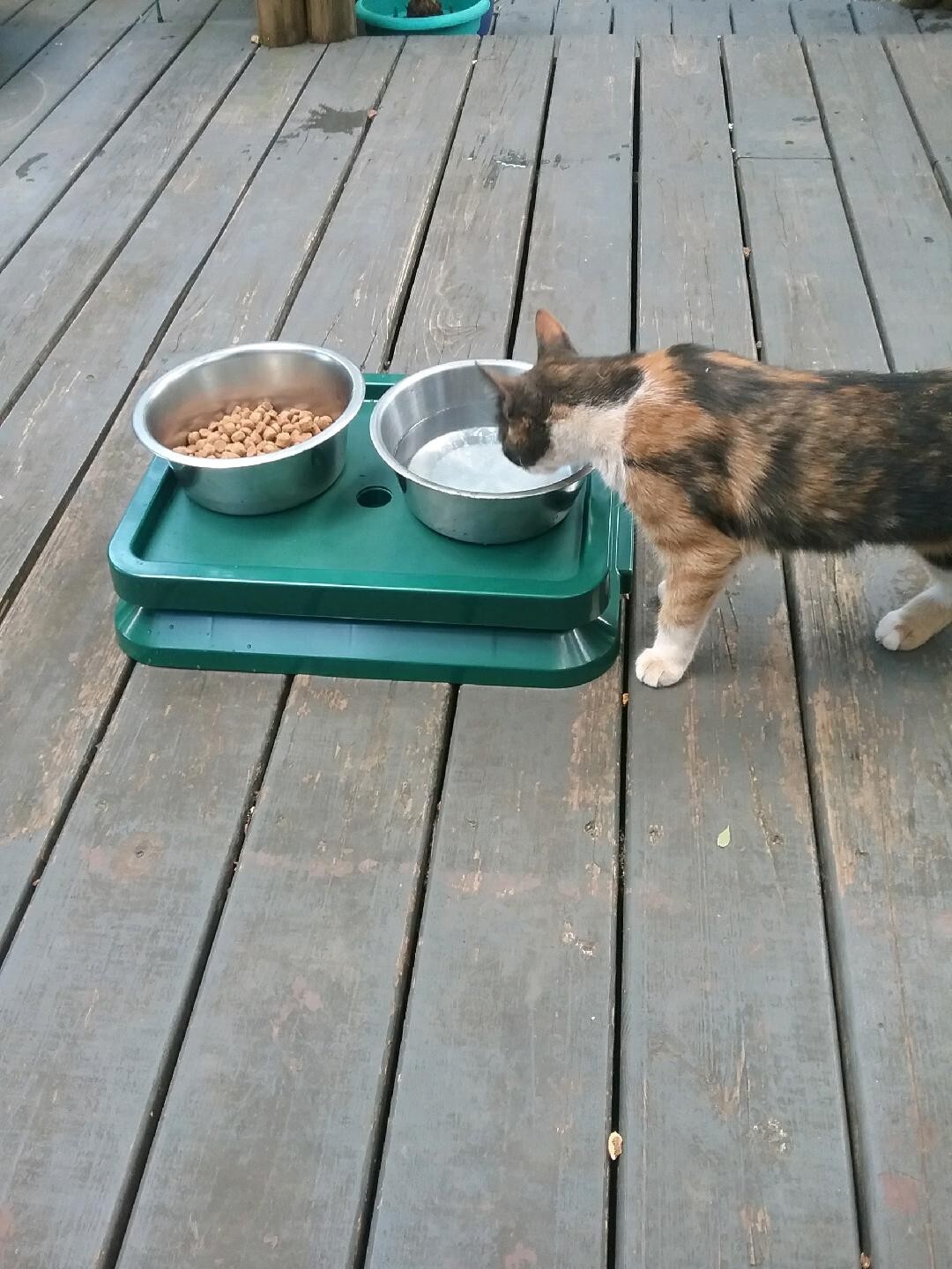 Ant Blocker Ant Proof Pet Food Tray