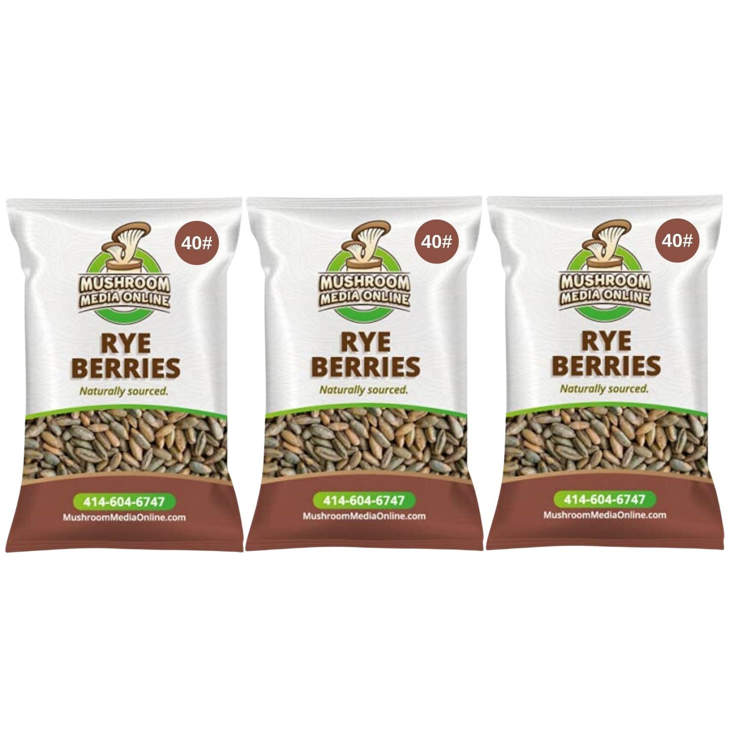 MushroomMediaOnline Whole Rye Berries