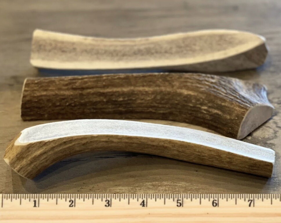 LARGE SPLIT ELK ANTLER Premium Dog Chew 7”+ (1pc) **OREGON ANTLER WORKS**