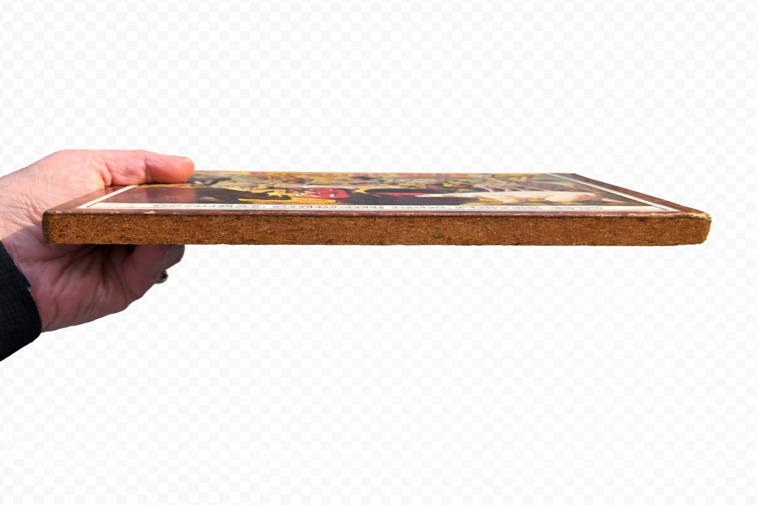 Vintage Ringling Bros Circus 1909 Menagerie Poster Cork Back Plaque Wall Art