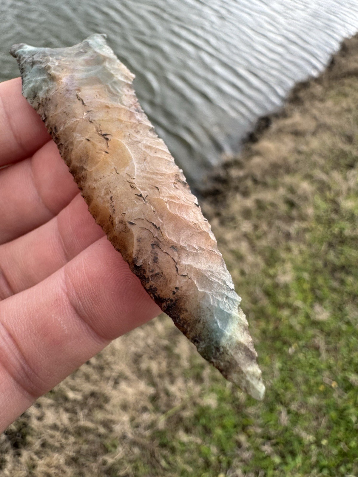 Rare Colorful KILLER Native American Oklahoma Paleo Dalton Fluted Arrowhead Poin