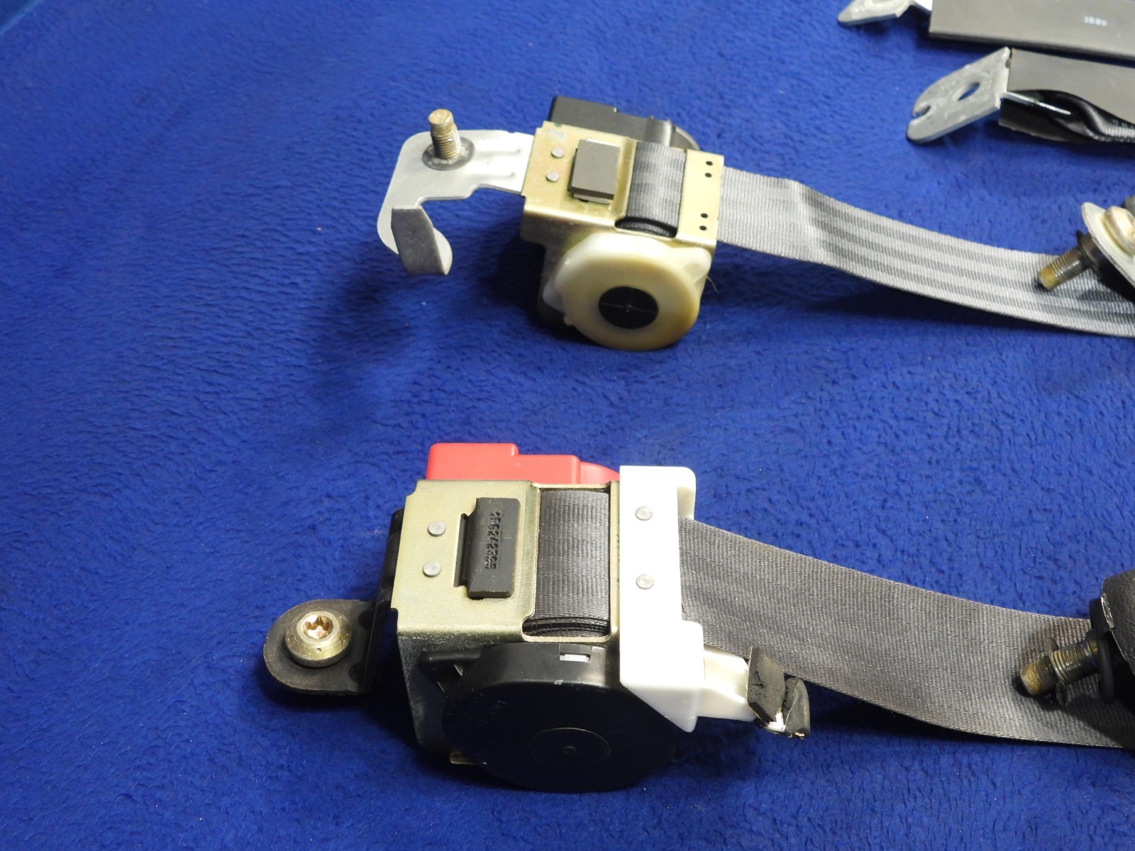 01 2001 Ford Mustang DK Charcoal Coupe Seatbelt Seatbelts OEM B64