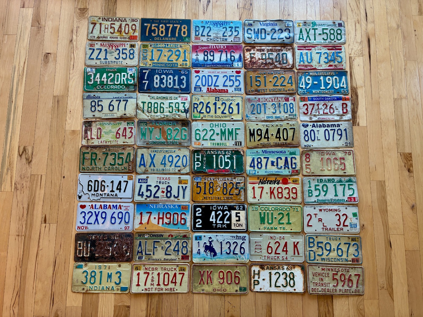 Vintage 50 Roadkill License Plates (30+ Different States) - 20 Years or Older